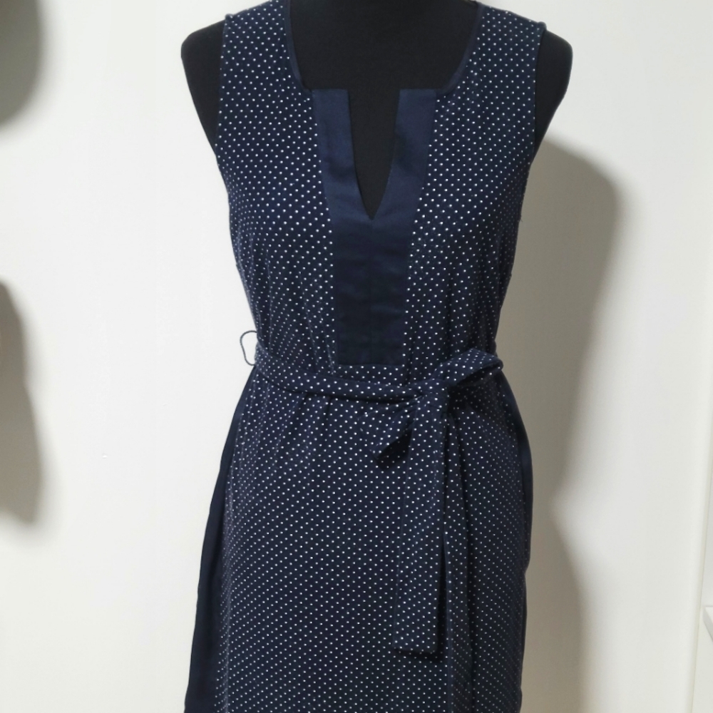 Ann Taylor - Navy Blue Polka Dot Slip Dress